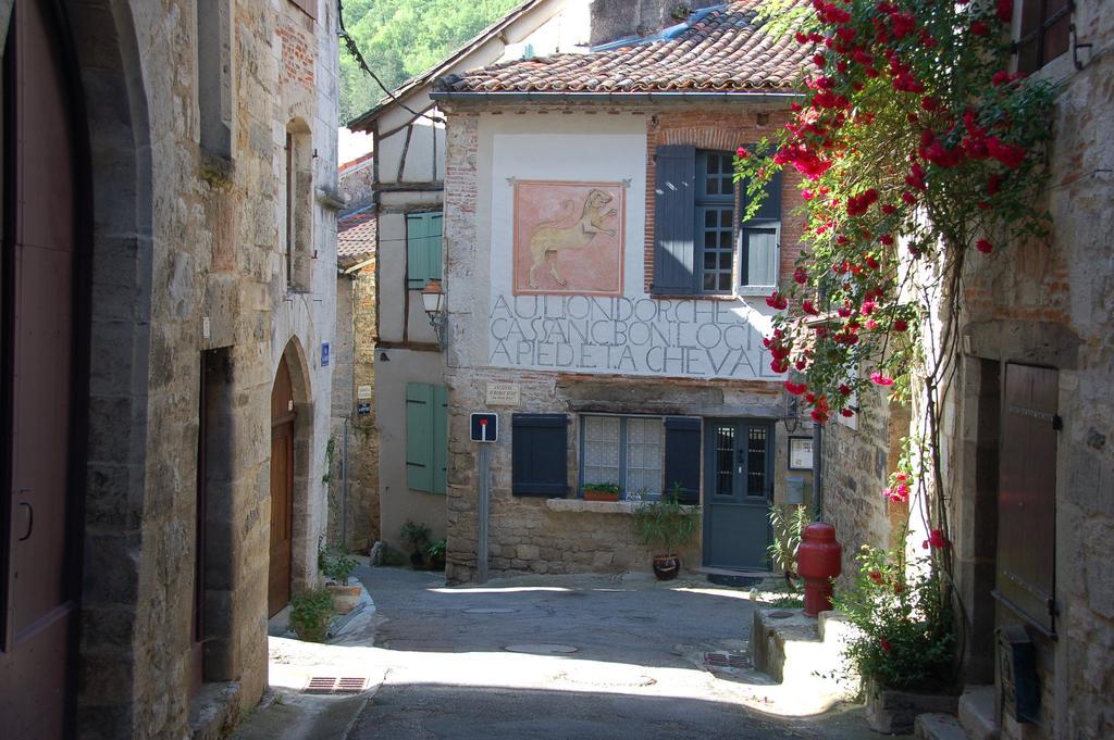 Auberge Lion D'Or Saint-Antonin-Noble-Val Zewnętrze zdjęcie