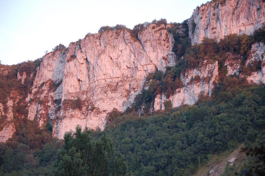 Auberge Lion D'Or Saint-Antonin-Noble-Val Zewnętrze zdjęcie