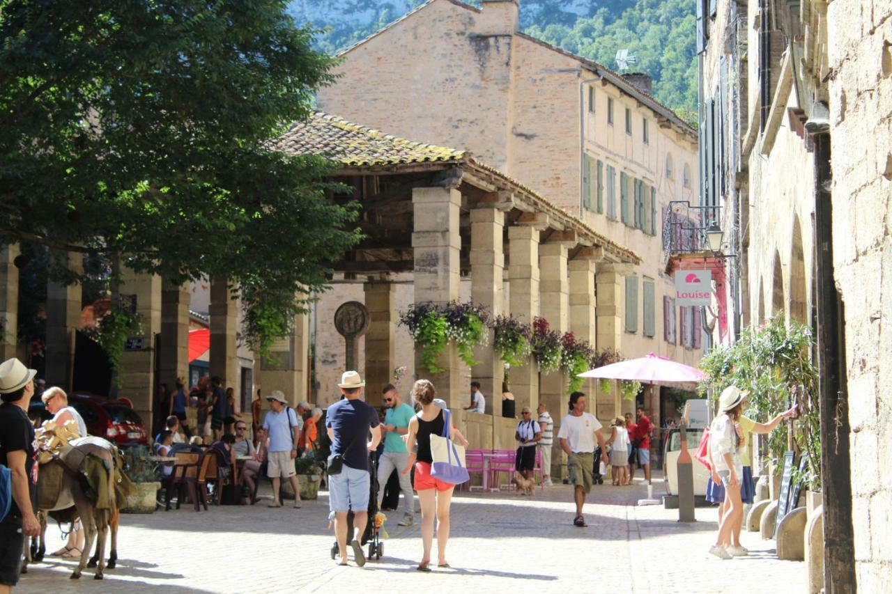 Auberge Lion D'Or Saint-Antonin-Noble-Val Zewnętrze zdjęcie